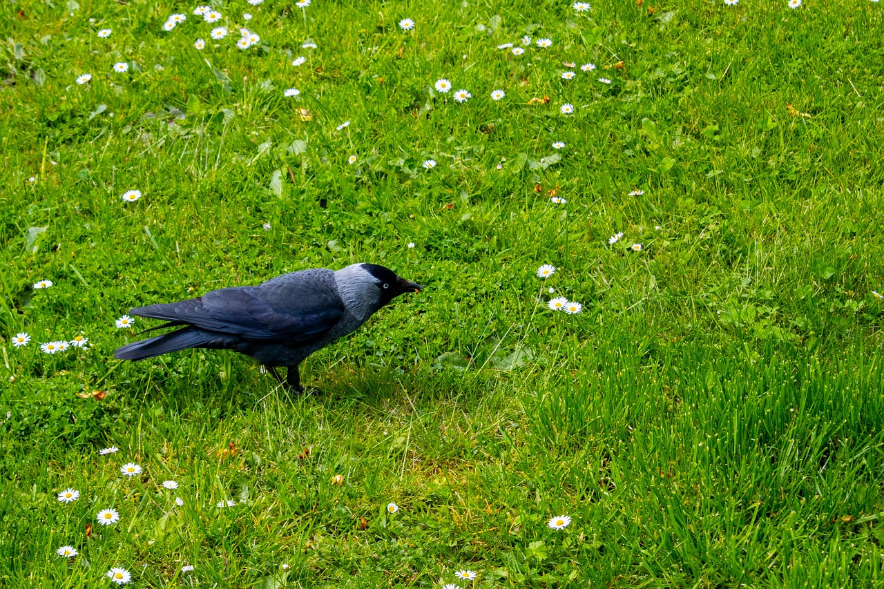 Půjčím své vlastní peníze